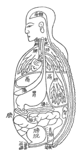 医師向け鍼灸講座、東洋医学の診方、鍼灸の扱い方